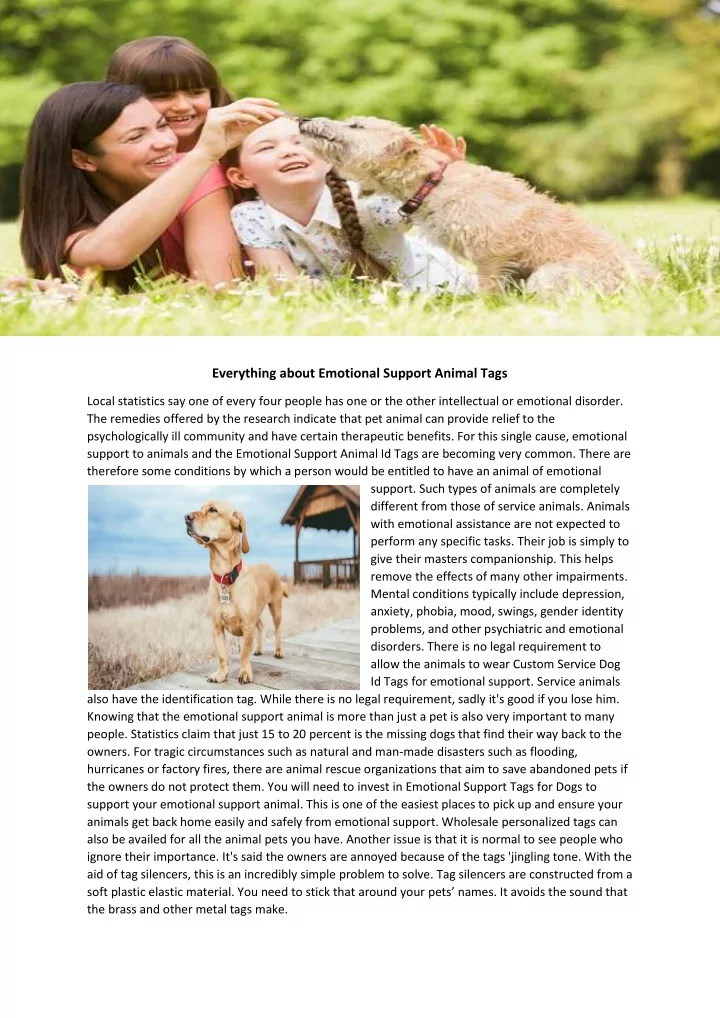 everything about emotional support animal tags