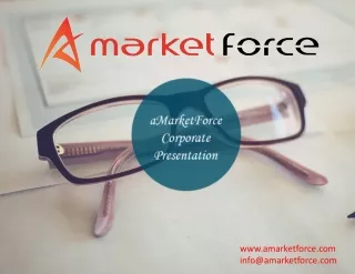 aMarketForce - B2B Lead Generation Company USA