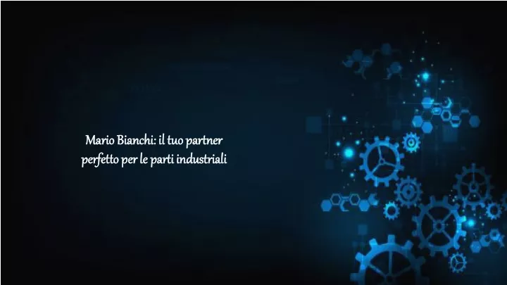 mario bianchi il tuo partner perfetto