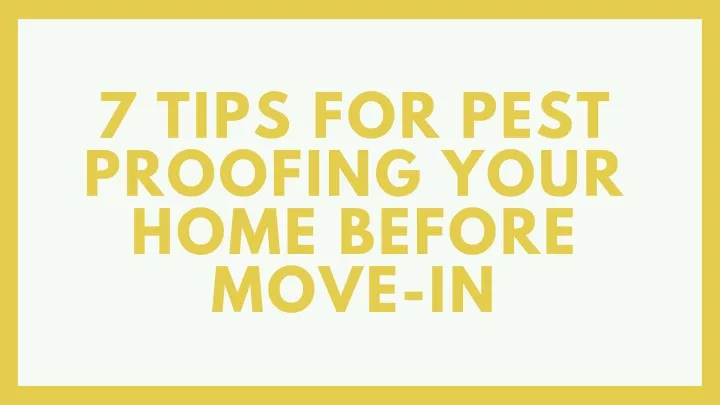 7 tips for pest proofing your home before move in