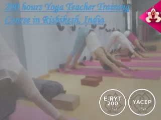 200 Hours Yoga Teacher Training Course Details in Rishikesh