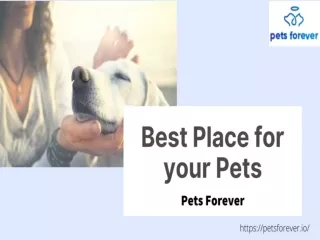 Best quality pet services