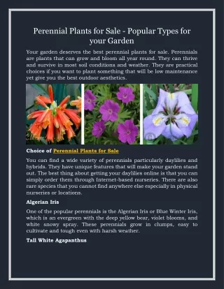 Perennial Plants for Sale - Popular Types for Your Garden