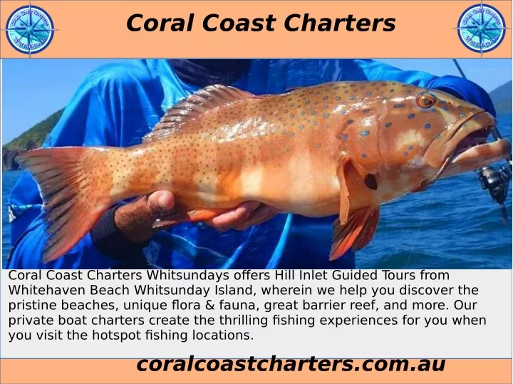 coral coast charters