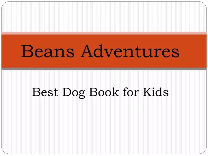 beans adventures best dog book for kids