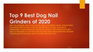 Top 9 Best Dog Nail Grinders of 2020