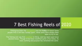 7 Best Fishing Reels of 2020