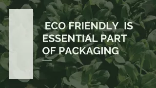 Plus Printers Create Unique Eco Friendly Boxes