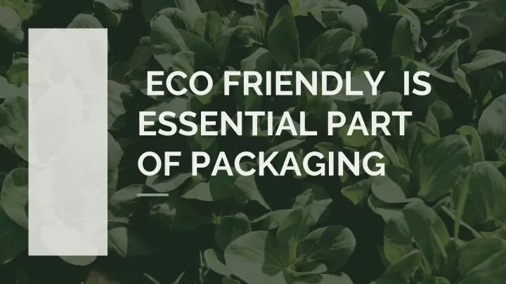 eco friendly is essential part of packaging