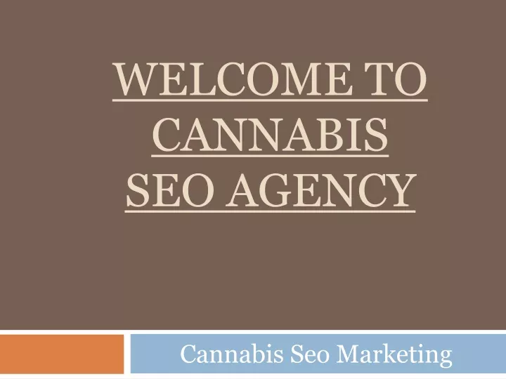 welcome to cannabis seo agency