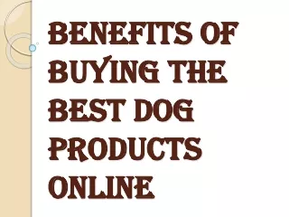 How to Choose the Best Dog Products from a Wide Range of Variety Available?