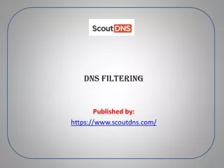 dns filtering