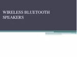 Wireless Bluetooth Speaker - slide 1