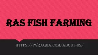 ras fish farming