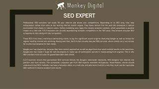 seo expert
