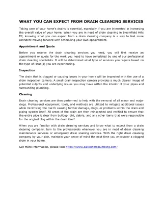 what you can expect from drain cleaning services