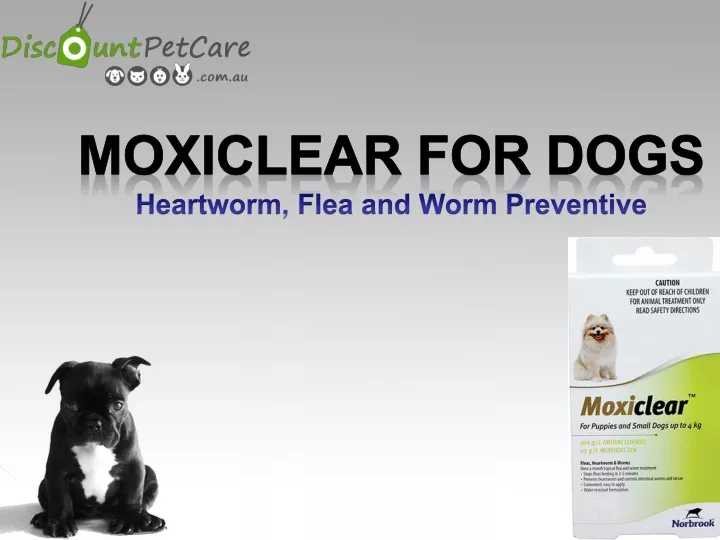moxiclear for dogs heartworm flea and worm