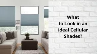 What to Look in an Ideal Cellular Shades?