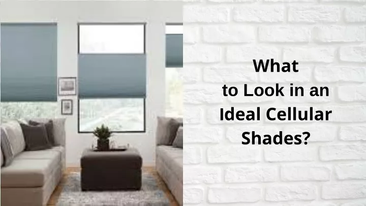 what to look in an i deal cellular shades