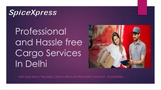 Professional and Hassle-free Cargo Services In Delhi