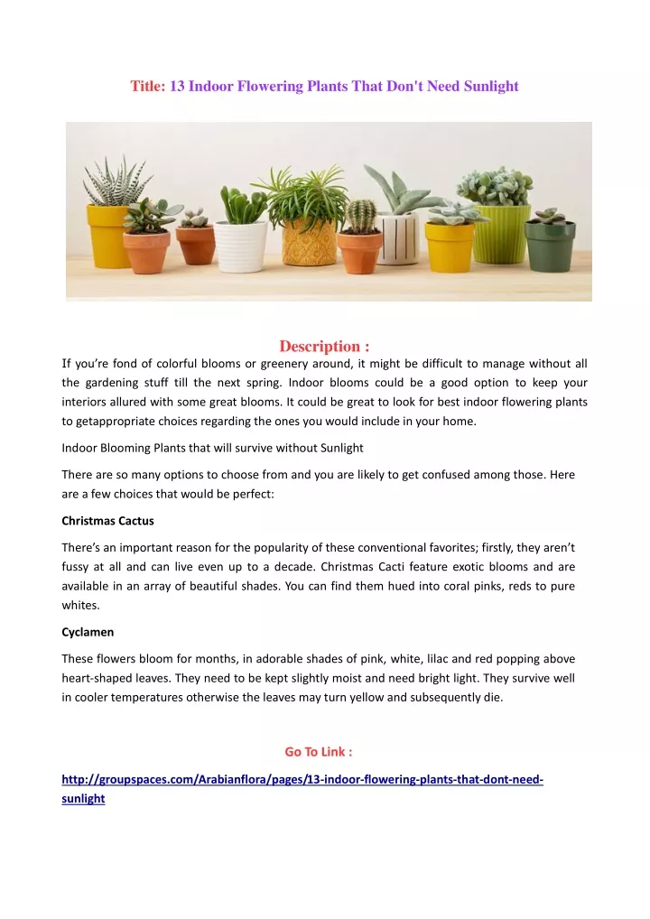 title 13 indoor flowering plants that don t need