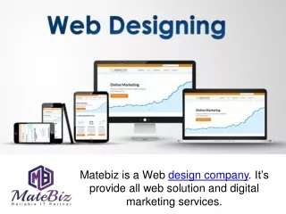 matebiz is a web design company it s provide