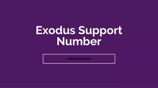 exodus support number