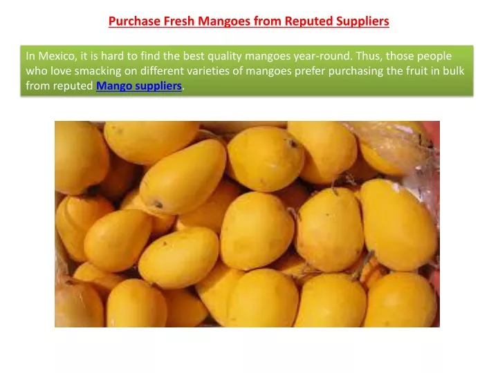 purchase fresh mangoes from reputed suppliers