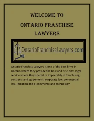 Franchise Lawyers attorney, e-commerce and technology lawyers
