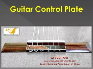 Guitar Control Plate