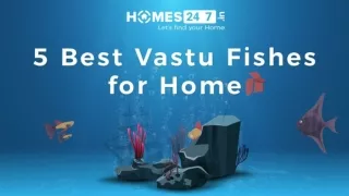 Best  Vastu Fishes to Keep in your Home Aquarium