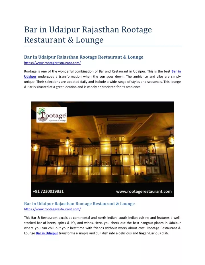 bar in udaipur rajasthan rootage restaurant lounge