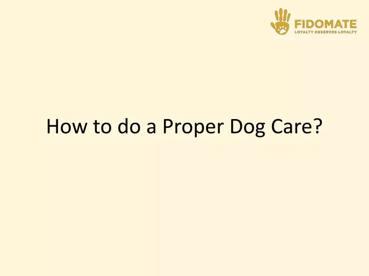 how to do a proper dog care