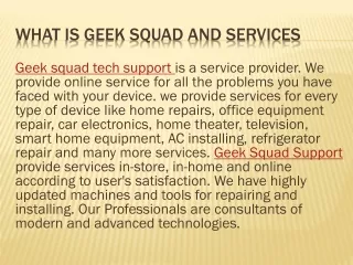 Geek Squad