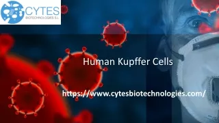 Human Kupffer Cells