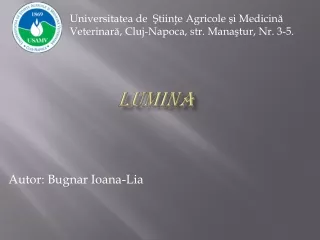 Lumina