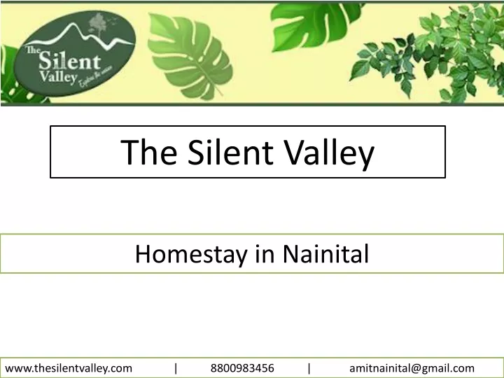 the silent valley