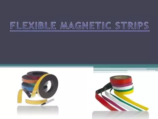 FLEXIBLE MAGNETIC STRIPS