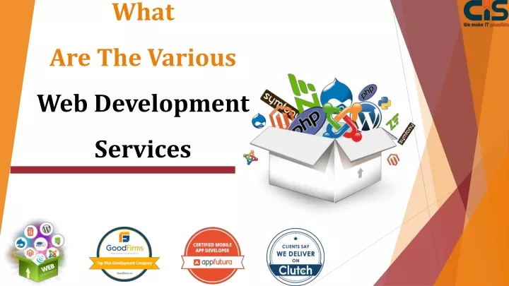 what are the various web development services