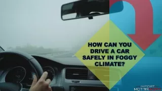 How can you Drive a Car Safely in Foggy Climate
