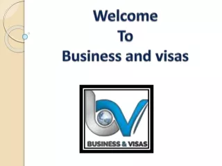 Best Immigration & PR Visa Consultants India | Business And Visas