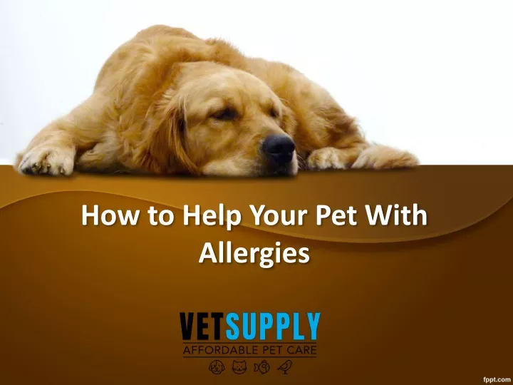 how to help your pet with allergies