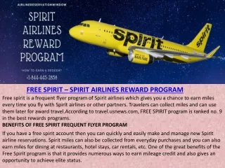 FREE SPIRIT – SPIRIT AIRLINES REWARD PROGRAM