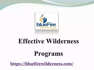 Effective Wilderness Programs By bluefirewilderness.com
