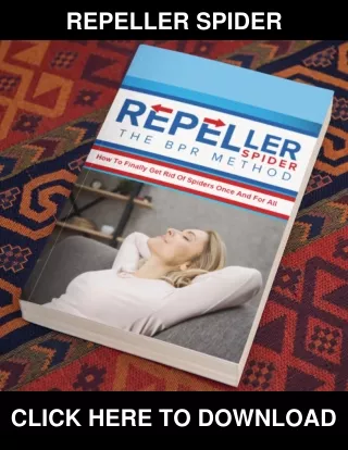 Repeller Spider PDF, eBook of The BPR Method