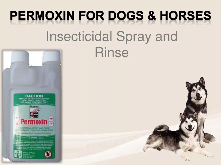 insecticidal spray and rinse