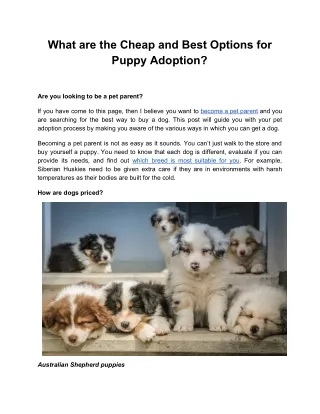 What are the Cheap and Best Options for Puppy Adoption?