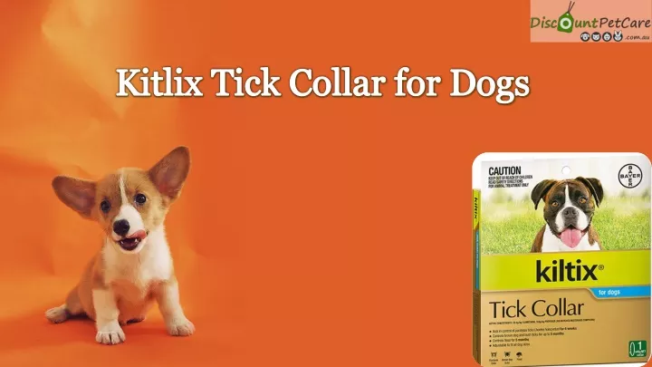kitlix tick collar for dogs