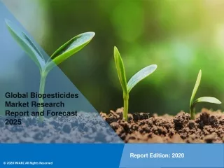 Biopesticides Market Size Analysis | Global Trend Forecast 2025