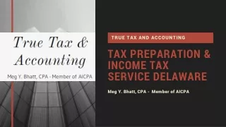 Tax Preparation & Income Tax Service Delaware